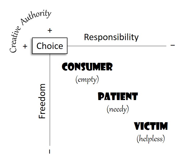 Consumer_Patient_Victim