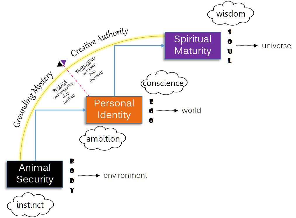 Full Picture Evolution
